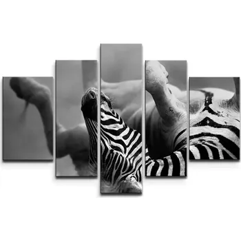 Obraz Sablio Obraz - 5-dílný Válející se zebra - 125x90 cm