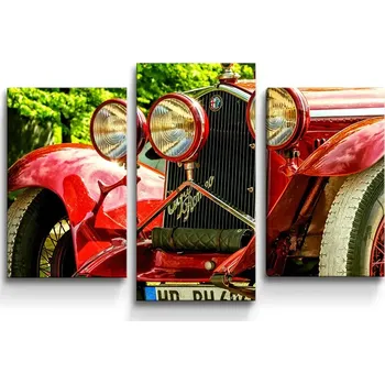 Obraz Sablio Obraz - 3-dílný Veterán 2 - 75x50 cm