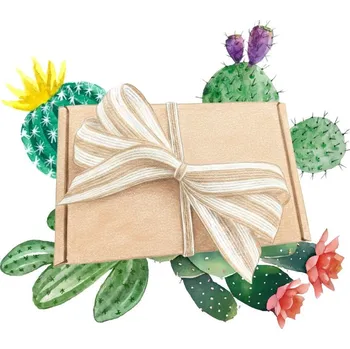 Dárkový potravinový koš Dárkový balíček kaktusů - sada semínek