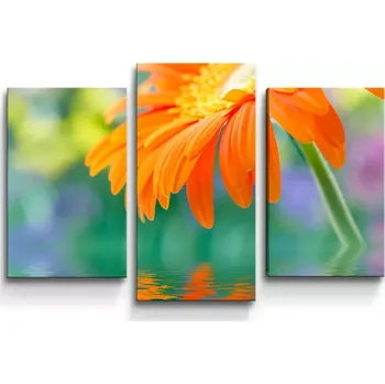 Obraz Sablio Obraz - 3-dílný Oranžová gerbera - 75x50 cm