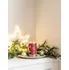 Svíčka Yankee Candle Signature Holiday Cheer