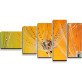 Obraz Sablio Obraz - 5-dílný Odkvetlé pampelišky 2 - 100x60 cm