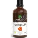 Green idea Lichořeřišnice bylinný…