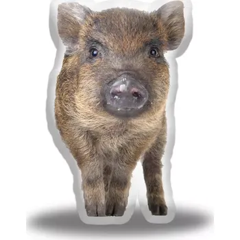 Polštář Sablio 3D polštář ve tvaru Selátko