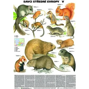 Plakát - Savci střední Evropy V. - Veverkovití, bobrovití, křečkovití, plchovití, slepcovití a nutriovití