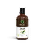 GREEN IDEA Borůvka 50 ml