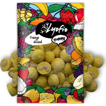 Sušená potravina Kešu v mangové krustě 200 g – zdravá svačinka | Lyofio.cz