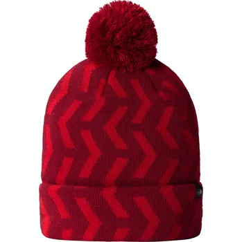 Čepice Dětské Zimní čepice THE NORTH FACE KIDS SKI TUKE NF0A7WJ87OB1 – Červená L