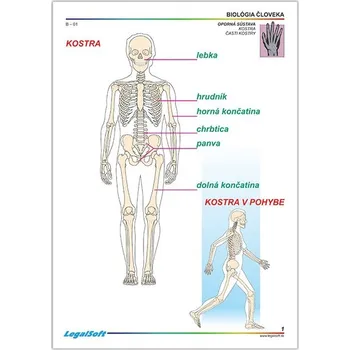 BIOLOGIE ČLOVĚKA 1 - pro 7. ročník ZŠ - karton