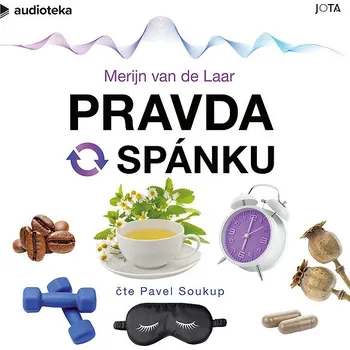 Pravda o spánku Audiokniha