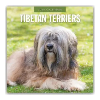 Diář Tibetan Terriers - Tibet Terrier 2026 - 16-Monatskalender (EN)