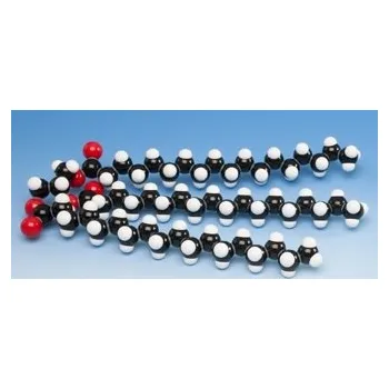 anatomický model Biochemie - model tuků (glyceroltristearin)