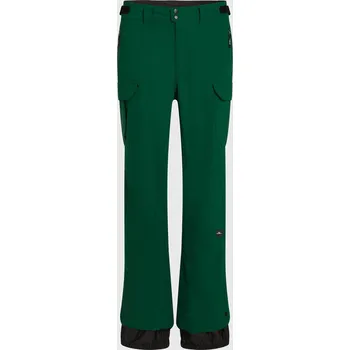 Pánské kalhoty Pánské Kalhoty O'NEILL FWC'PEAK CARGO SNOW PANTS 2550142-16056 – Zelená S