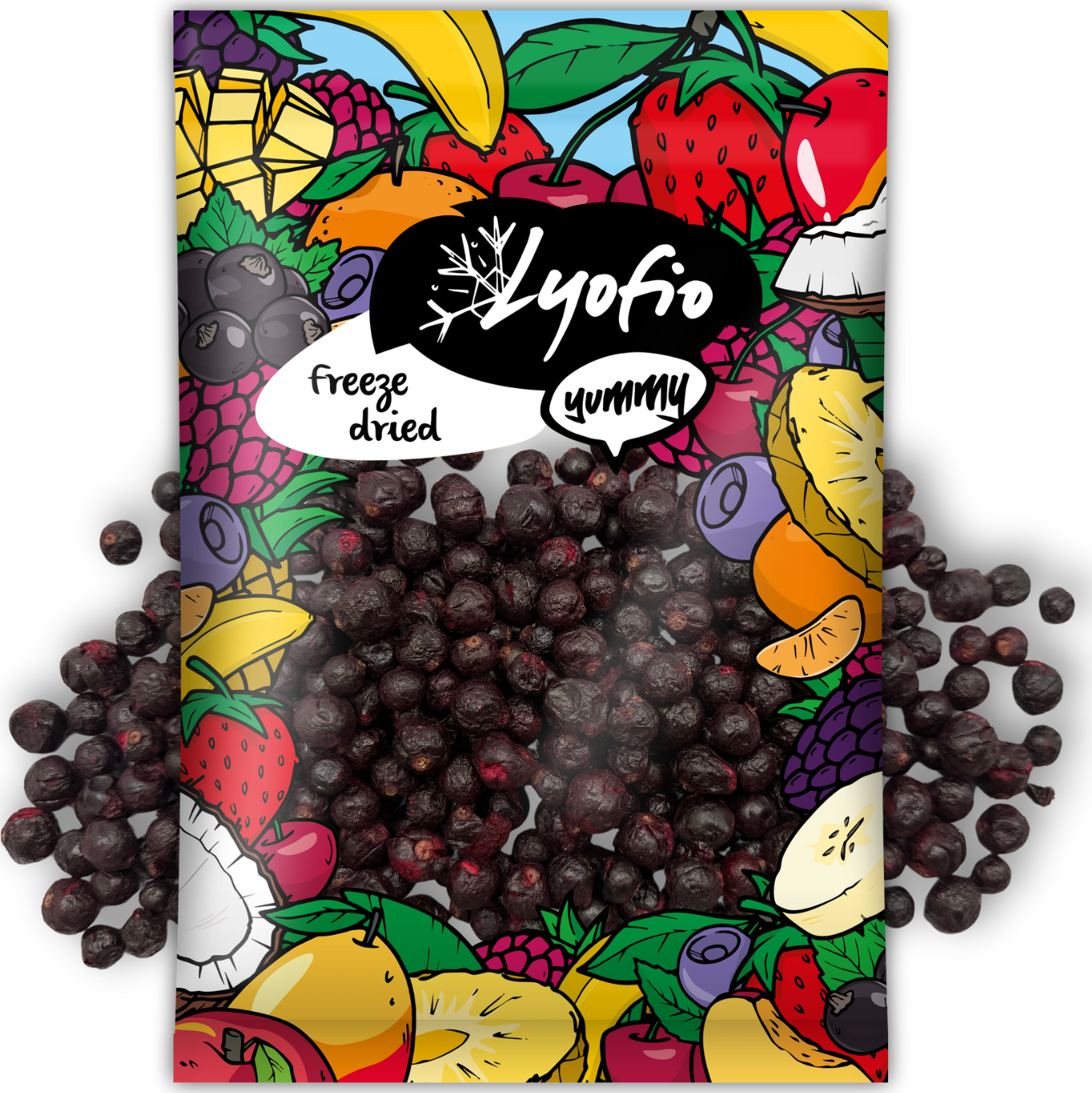 Lyofio.cz - Mrazem sušená borůvka lesní 100 g