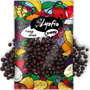 Potravina Lyofio borůvka lesní 100 g