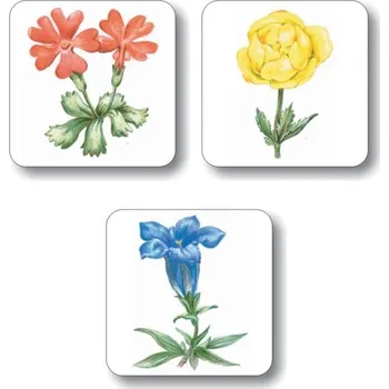 Příroda Chráněné rostliny