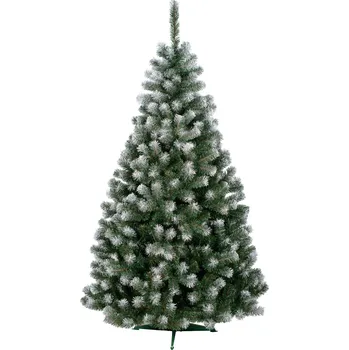 Vánoční stromek Jedle Bella bílé konce