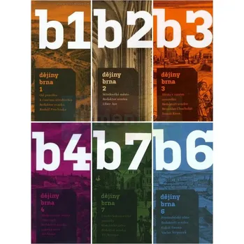 Umění Dějiny Brna 1:7 : Od pravěku až po současnost - kolektiv Zdarma