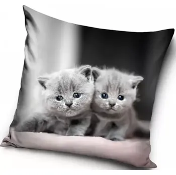 Dekorativní polštářek Velurový povlak na polštář Koťátka - Britská modrá kočka, 40x40cm (Dekorační povlak na polštářek s kočkou, kočka)