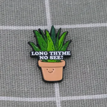 Květináč s tymiánem - Long thyme no see!