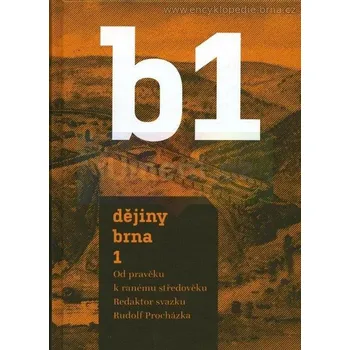Umění Dějiny Brna 1 : Od pravěku k ranému středověku - Rudolf Procházka