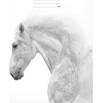 Sešit MFP Školní sešit – kůň / LUX 444 a 544/ 40 listů / linka A4