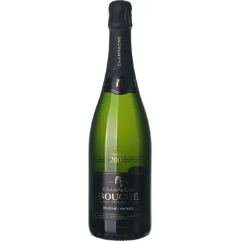 Víno Archivní víno&nbsp;2000&nbsp;Champagne Bouché Champagne&nbsp;0,75 l
