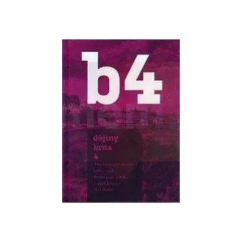 Umění Dějiny Brna 4 : Historie města Brna 19.století - Libor Jan, Lukáš Fasora, Jiří Malíř