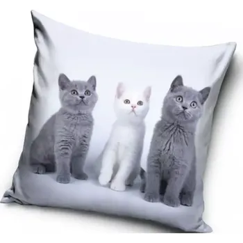 Dekorativní polštářek Velurový povlak na polštář Tři koťata, 40x40cm (Dekorační povlak na polštářek s kočkou, kočka)