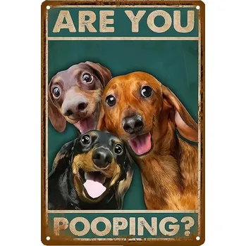 Plechová cedule Vintage cedule WC kovová | dekorace WC, plechová tabulka - 20 , 20x30cm