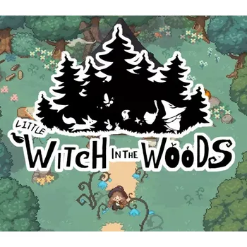 Počítačová hra Little Witch in the Woods