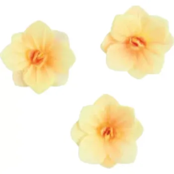 Jedlá dekorace na dort Dekorace oplatková - Hortenzie medová 3 ks