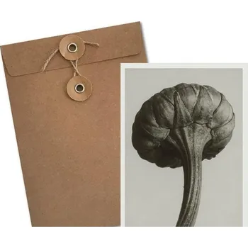 Obraz Přání ke Dni babiček 12 x 17 cm