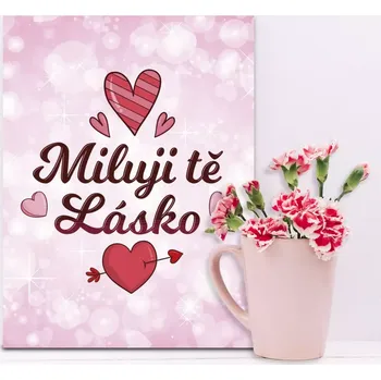 Plechová cedule Sablio Dárková cedulka Miluji tě, lásko: 30x40 cm