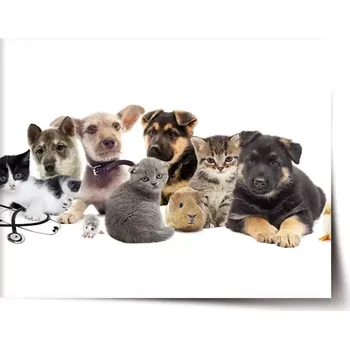 Plakát Sablio Plakát Mláďátka 2 - 120x80 cm