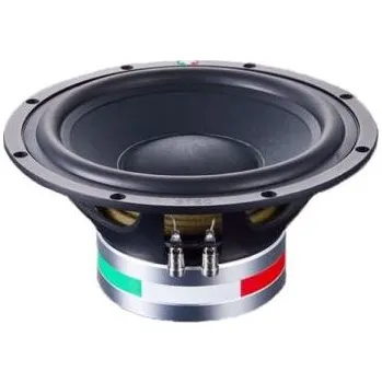 Auto Hi-Fi Subwoofer STEG SS-10