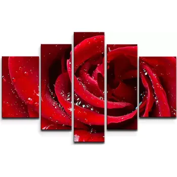 Obraz Sablio Obraz - 5-dílný Růže - 125x90 cm