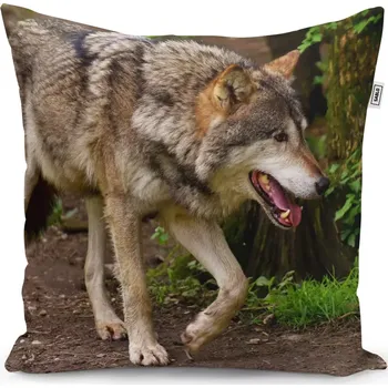 Polštář Sablio Polštář Vlk - 40x40 cm
