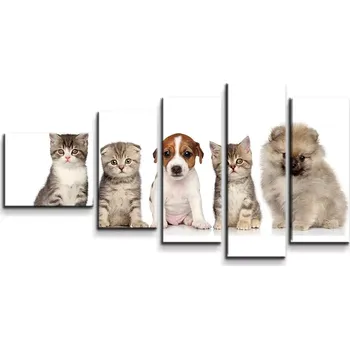 Obraz Sablio Obraz - 5-dílný Mláďátka - 100x60 cm