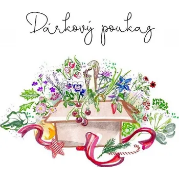 Vánoční dekorace Vánoční poukázka - voucher v hodnotě 1000,- Kč