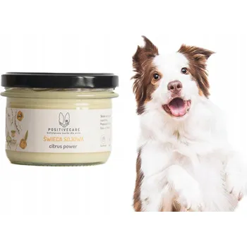 Svíčka Přírodní sójová svíčka Citrus Power 220 ml Citron Pomeranč PositiveCare