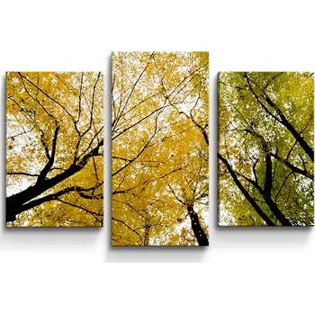 Obraz Sablio Obraz - 3-dílný Koruny stromů - 75x50 cm