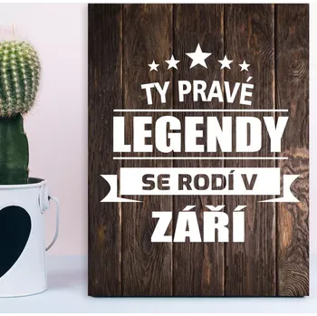 Plechová cedule Sablio Dárková cedulka Ty pravé legendy se rodí v září: 30x40 cm