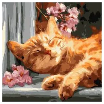 Set školních potřeb Malowanie po numerach - Rudy kot na parapecie