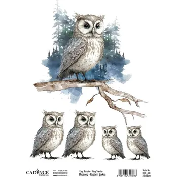 Výtvarná sada Transferový obrázek Cadence Easy Transfer, 25x35 cm - Sova