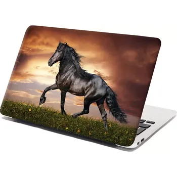 samolepka Sablio Samolepka na notebook Friský kůň - 29x20 cm