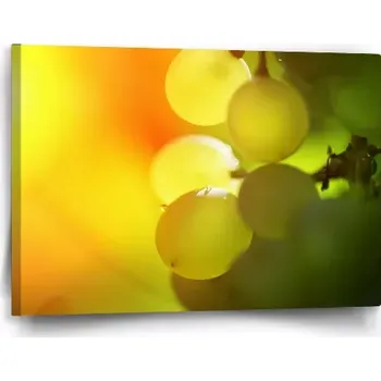 Víno Sablio Obraz Hroznové víno - 60x40 cm