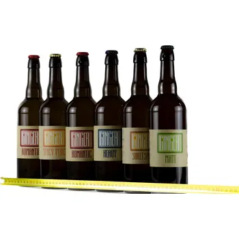 Pivo 6 x 0,75l lahev PůlMetr zázvoru Kombinace příchutí: 3x Romantic + 3x Sweet spice