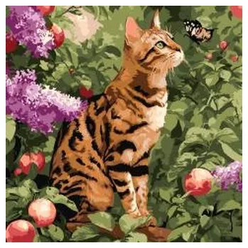 Set školních potřeb Malowanie po numerach - Kot bengalski 40x40cm