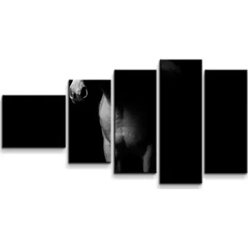 Obraz Sablio Obraz - 5-dílný Kůň ve stínu - 100x60 cm